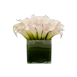 Flowers for the Home